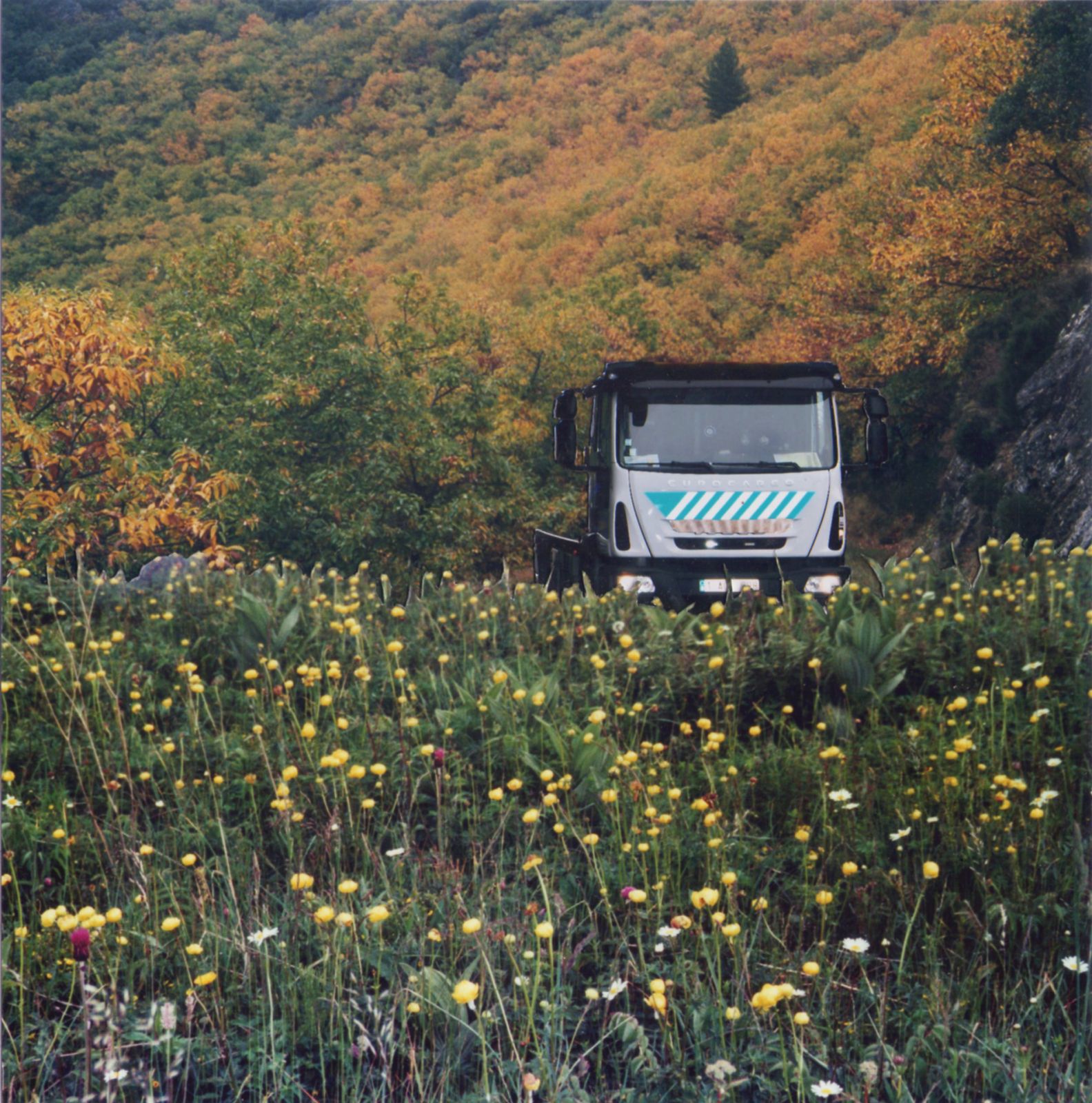 <strong><em>Camion dans la nature</em></strong>, photomontage<br>papier photographique, 15 x 15 cm, 2014