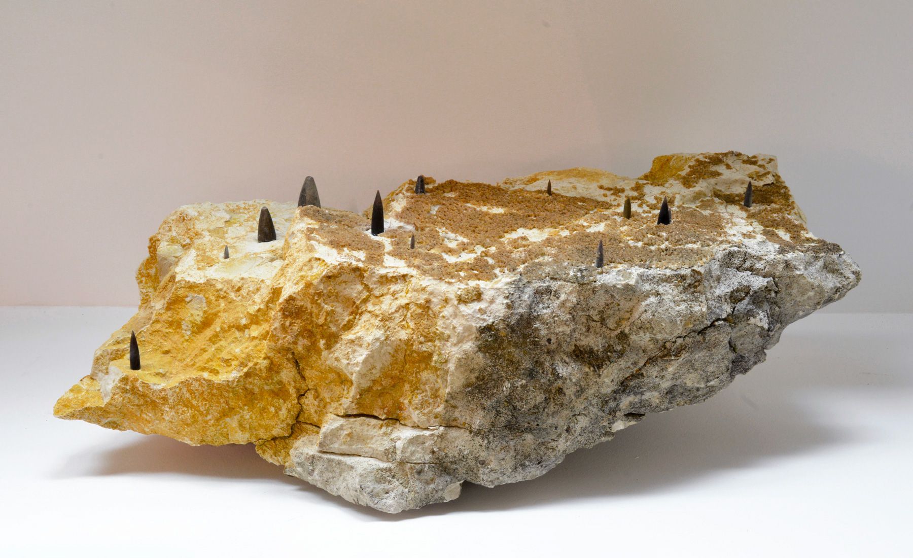 <strong><em>La forêt 3</em></strong>, assemblage<br>pierre et rostres de bélemnites fossilisés, 16 x 48 x 18 cm, 2017