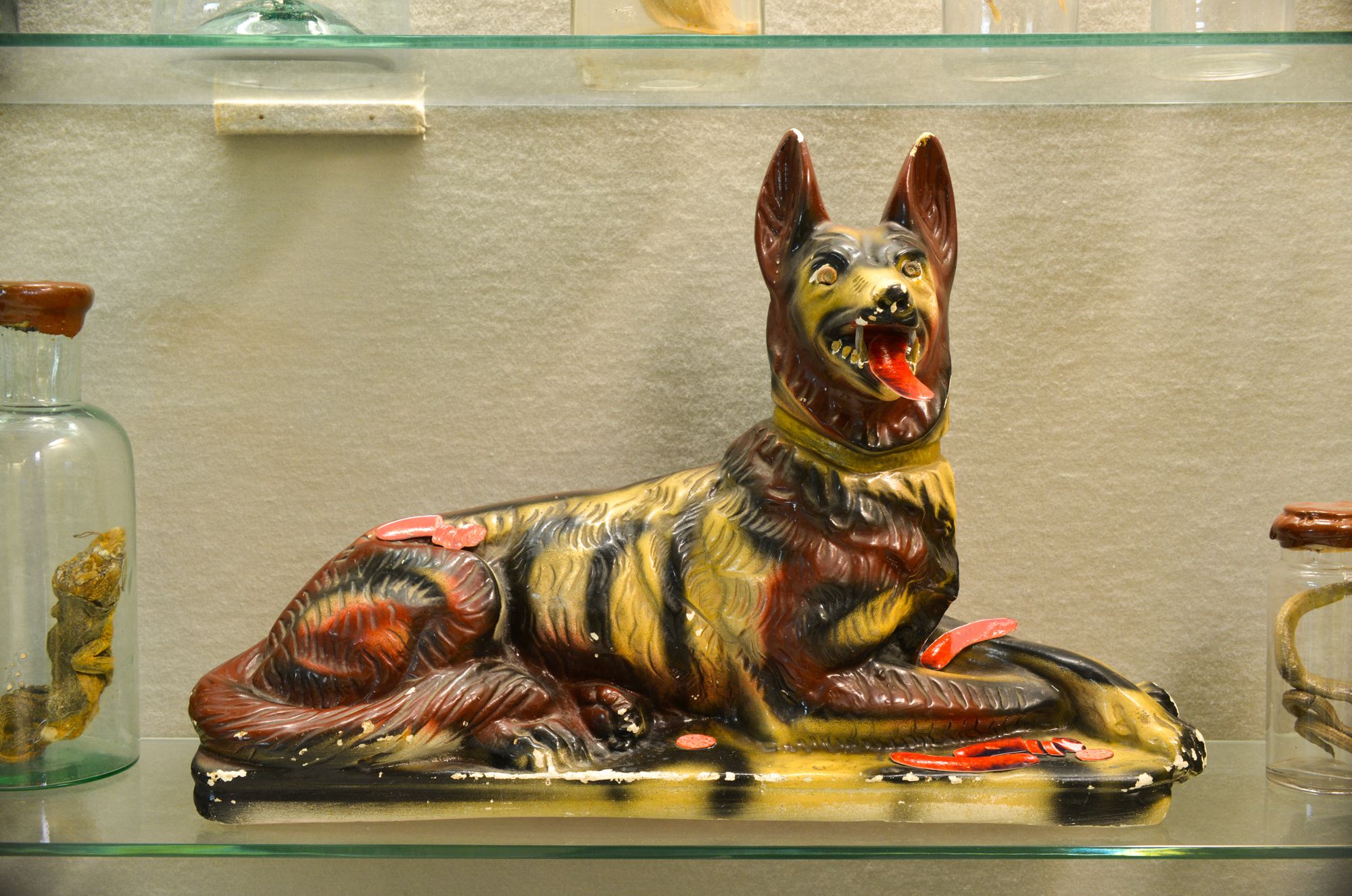 <strong><em>Le chien</em></strong>, assemblage<br>figurine en plâtre, papier photographique, cristaux et fossiles, 50 x 35 x 19 cm, 2017
