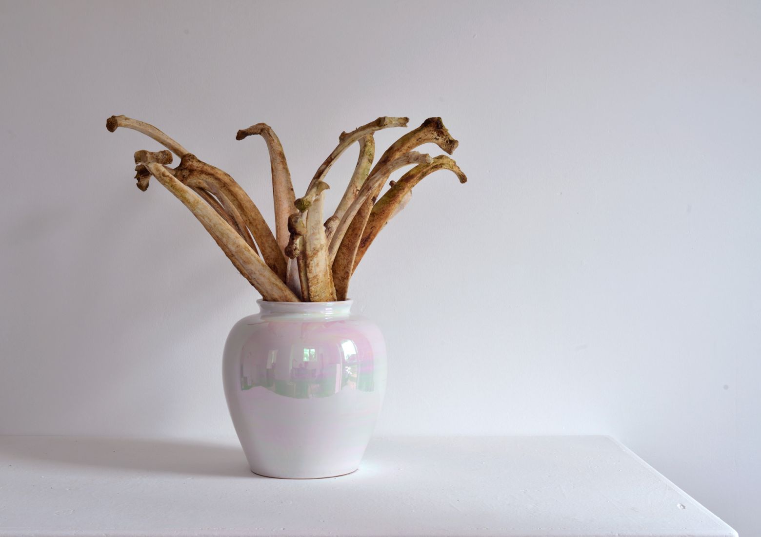 <strong><em>Le bouquet final</em></strong>, assemblage<br>vase en céramique et côtes de vache, dimensions variables, 2020