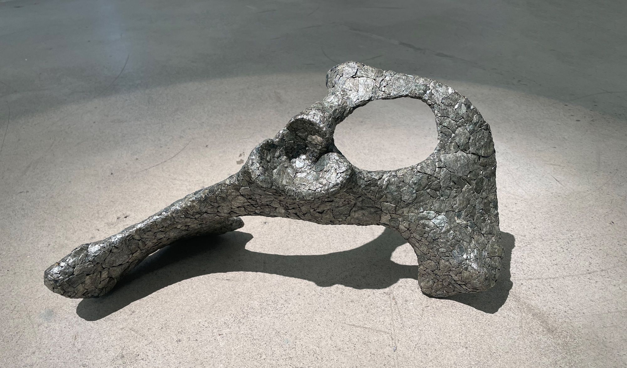 <strong><em>Fossile</em></strong>, assemblage<br>os et schiste argenté, 50 x 25 x 20 cm, 2021