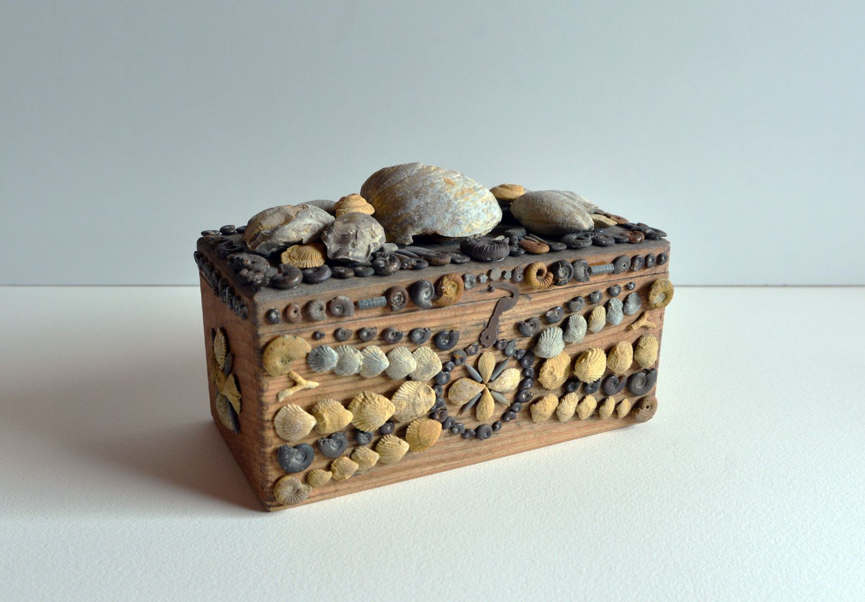 <strong><em>La boîte à souvenirs</em></strong>, assemblage <br>coffret en bois et fossiles, 12 x 21 x 10 cm, 2021
